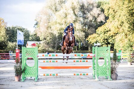 Kim Carolin Müller sprang in Münster in die Platzierung. | © Maike Klüter