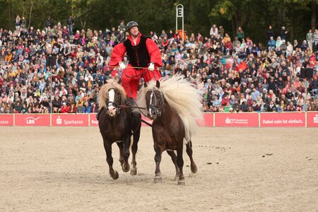 Ungarische Post vor vollem Haus in Marbach. | © Doris Matthaes