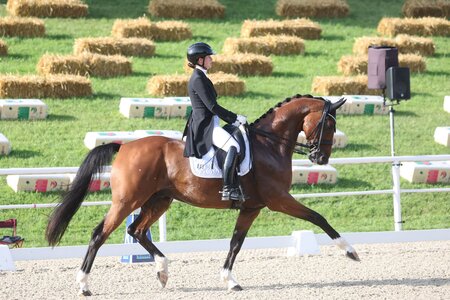 Leonie Laier und Dein Freund trabten auf dem Fichtenhof zum nächsten S***-Sieg. | © D. Matthaes