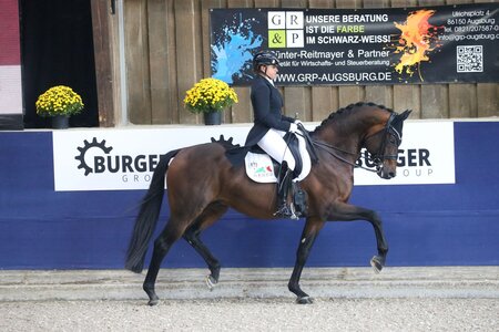 Dorothee Schneider zählt erneut zu den Startern bei den Reutlinger Dressurtagen. | © D. Matthaes