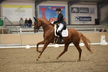 Anna-Louisa Fuchs mit Duvetico | © alle: D. Matthaes