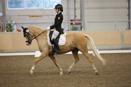 Sveja Burmester mit Golden Glory, dem Pony ihrer Freundin Mia Örtel. | © D. Matthaes