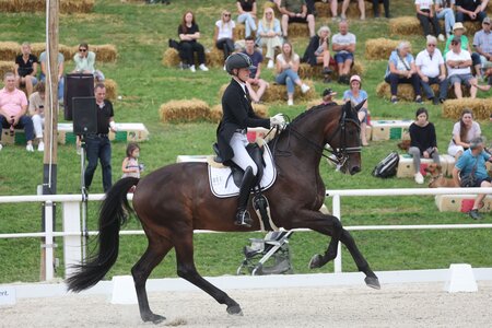 Ann-Kathrin Lindner und Lord of Dance auf dem Birkhof im Sommer. | © D. Matthaes