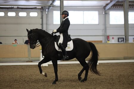 Timo Kemmerer mit Dantes Zazou | © Fotos: D. Matthaes