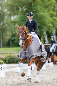 Janina Kahl siegte mit Bandera in der abschließenden Tübinger S-Dressur. | © Bambi Fotografie
