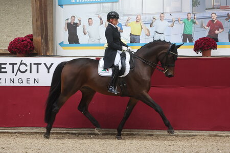 Dorothee Schneider lieferte mit Maxi Kraft's Barcelo in der Reutlinger Nachwuchspferdetour einen Bilderbuchritt. | © D. Matthaes