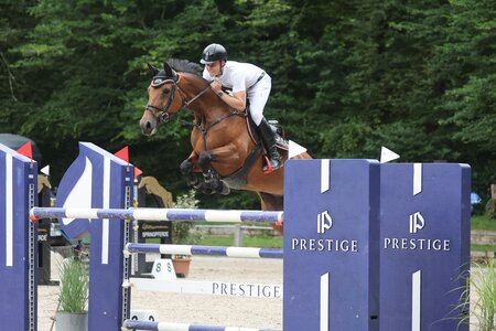 Julian Holzmann, hier mit Iberia | © D. Matthaes