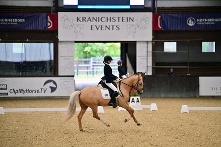 Martha Louisa Temme überzeugte in der ersten Prüfung des Bundesnachwuchschampionats Pony. | © Dill