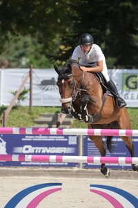 Jochen Teufel mit Arc en ciel de Gaia | © D. Matthaes