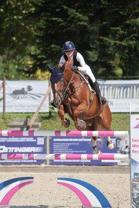 Emeraldo unter Pia-Luise Baur | © D. Matthaes