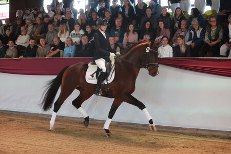 Viviano avancierte beim Marbacher Wochenende 2024 zur Preisspitze. | © D. Matthaes