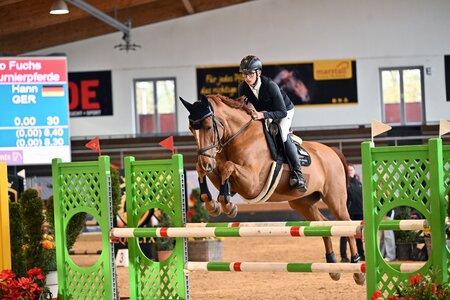 Erik Kölz und Sweet Temptation siegen in einem Stil-L-Springen. | © Dill