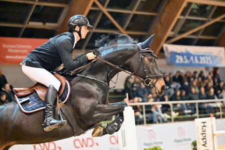 Thierri Wagner springt mit Cookie HH zu Rang drei im S**-Springen. | © Dill