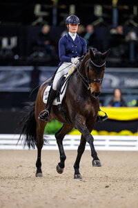 Carina Harnisch und FBW Francis sicherten sich zum Auftakt der Stuttgart German Masters den Sieg im iWEST Dressur Cup. | © Lafrentz