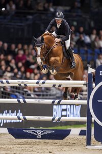 Wieder einmal ein grandioser Fuchs unter dem Sattel von Pieter Devos | © Lafrentz