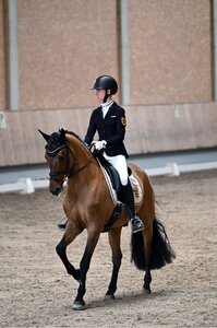 Maya Wächter und Nasdaq FH erreiten 71,3% in Kronberg. | © Dill (Archiv) Maya Wächter und Nasdaq FH erreiten 71,3% in Kronberg. | © Dill (Archiv)