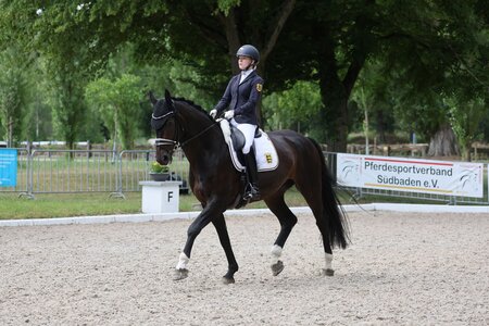 Emelie Hertwig wurde mit Diamond's Rubioso zweimal Landesmeisterin. | © D. Matthaes Emelie Hertwig wurde mit Diamond's Rubioso zweimal Landesmeisterin. | © D. Matthaes