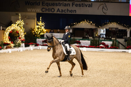 Laura Kohoutek und Der Kleine Sunnyboy WE platziert sich mit 71% in der internationalen Wertung der Ponyreiter | © Jasmin Metzner Fotografie Laura Kohoutek und Der Kleine Sunnyboy WE platziert sich mit 71% in der internationalen Wertung der Ponyreiter | © Jasmin Metzner Fotografie