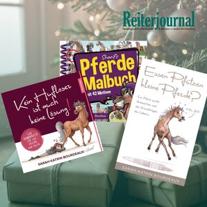 Geschenktipps für Weihnachten: Sarah-Kathrin Bourdeaux und Araber Sharif Geschenktipps für Weihnachten: Sarah-Kathrin Bourdeaux und Araber Sharif