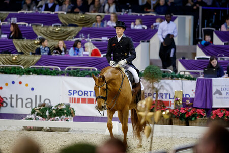 Duke of Britain FRH verabschiedet sich mit 17 Jahren von der Sportbühne | © Lafrentz Duke of Britain FRH verabschiedet sich mit 17 Jahren von der Sportbühne | © Lafrentz