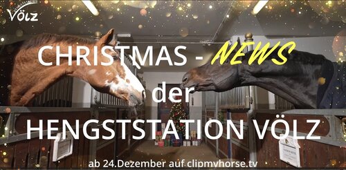 Als Weihnachtsüberraschung präsentiert die Hengststation Völz ihre Hengst-Kollektion für die Decksaison 2025 | © Hengststation Völz Als Weihnachtsüberraschung präsentiert die Hengststation Völz ihre Hengst-Kollektion für die Decksaison 2025 | © Hengststation Völz