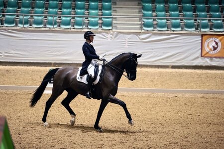 Valerie del Rio Pfeffer sicherte sich in Kreuth mit Braveheart Top-Platzierungen. | © Dill
