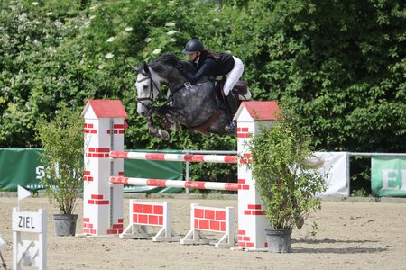 Marie-Claire Olm wurde für das Finale des HGW-Bundesnachwuchschampionats nominiert. | © D. Matthaes