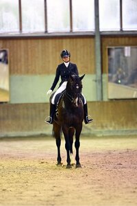 Jana Schrödter und Der Erbe OLD sammelten in Stadl-Paura zwei Podestplätze. | © Dill
