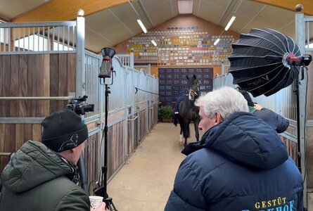 Am 12.02. lohnt es sich auf Clip my Horse einzuschalten. | © PM