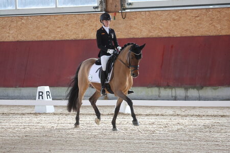 Maya Wächter siegte bei den Ponys. | © D. Matthaes