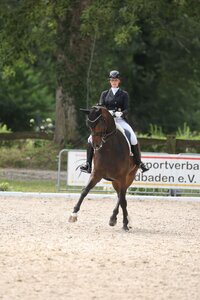 Ines Fleischmann und High Noon siegten in Stadl-Paura im Grand Prix Special | © D. Matthaes