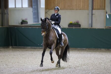Nicole Isser sammelte beim Turnier auf dem Waldhauser Hof mehrere Dreisterne-Platzierungen. | © Dill