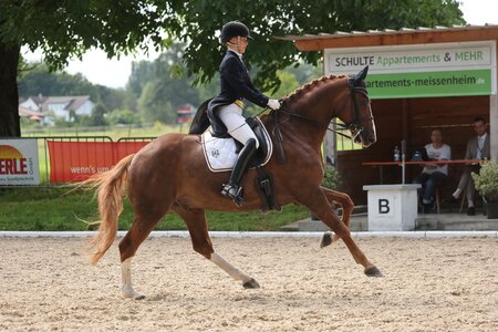 Marie-Christin Kogel hatte sich den Titel bei den Amateur-Dressurreitern in den letzten zwei Jahren geschnappt. | © D. Matthaes
