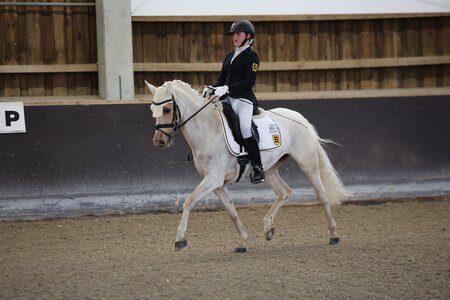 Nina Bäuerle setzte sich mit Die Zaubermaus NRW bei der ersten Pony Dressur Master Qualifikation in Weil der Stadt durch.  | © D. Matthaes