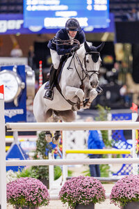 Adrian Schmid und Chicarito sicherten sich beim CSI5*-Turnier in Paris Top-Platzierungen. | © Lafrentz