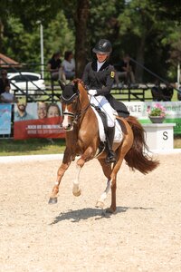 Ann-Cathrin Rieg und ihr Ponyhengst Steendieks Derrick mischten beim Piaff-Förderpreis Lehrgang vorne mit. | © D. Matthaes (Archiv)