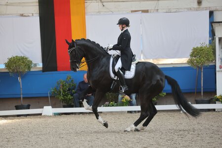 Anna Casper und Birkhof's Bacardi standen in der Grand Prix Kür von Pforzheim ganz vorn.  | © D. Matthaes