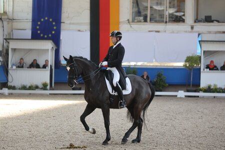 Timo Kemmerer und Dante's Zazou führten den Pforzheimer Grand Prix an. | © D. Matthaes