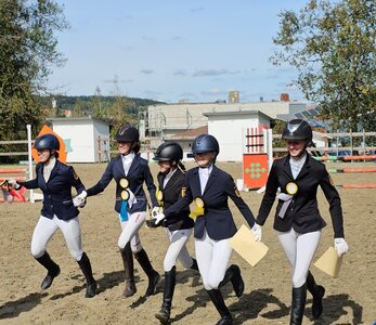 In Achern finden im April die Deutschen Meisterschaften im Vierkampf statt.  | © Pferdesportverband Baden-Württemberg (frei)