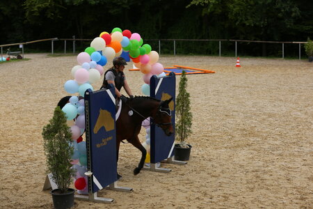 Noch kann man sich für den Allroundreitercup anmelden. | © Knisel-Eberhard