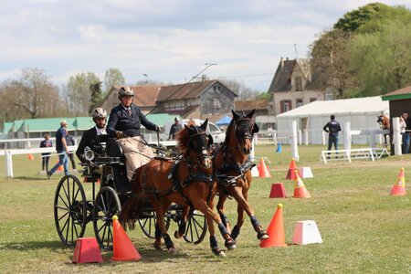 Birgit Kohlweiß konnte mit ihren Ponys den anspruchsvollen Kegelparcours mit einem Sieg beenden und damit auch die Gesamtwertung gewinnen. | © Herbert Rauser