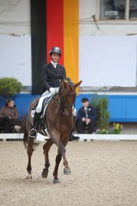 Martina Steisslinger feierte mit Favory in Saarlouis einen Grand Prix Sieg.  | © D. Matthaes (Archiv)