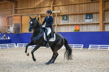 Timo Kemmerer und Dantes Zazou führten in Zeutern am Ostersonntag die S***-Prüfung an. | © Talia Klefenz
