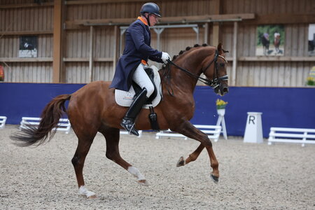 Pieter van der Raadt mit D' cìncano | © D. Matthaes