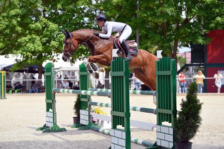 S*-Sieg für Lea Sophia Gut und Sharm el-Sheikh | © (Archiv) Dill