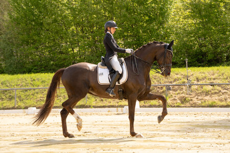 © https://www.cvp-fotografie.de/