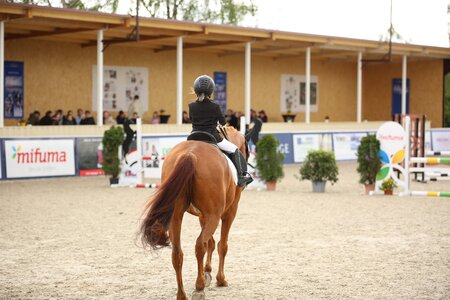 Die Mifuma-Sonderwertung für Schulpferde stellt im Rahmen des Birkhof Frühjahrs- und Jugendfestivals ein ganz besonderes Highlight dar.  | © Gestüt Birkhof