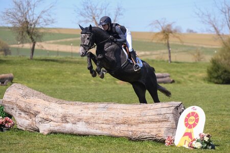 KN 4 Romeo | Wallach *2021 v. Diarado - Odermus R  | © Robert Kraft