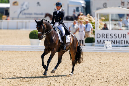 Felicitas Hendricks und Drombusch OLD überzeugen in der Einlaufprüfung zum Piaff Förderpreis mit 71,08 Prozent und sicherten sich damit den Sieg. | © Lafrentz