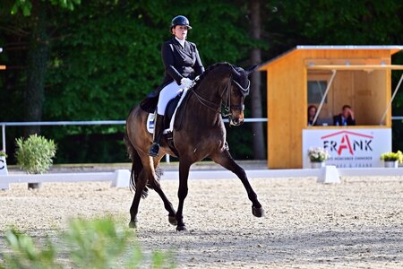 Tina von Briel und Tallahassee auf dem Weg zum Sieg. | © Dill